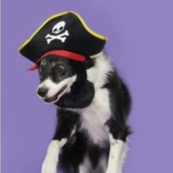 Bark Other - Bark Beard and Pirate hat dog costume/toy combo